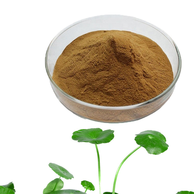 Cosmetic Raw Material Centella Asiatica Gotu Kola Extract Powder For Skin Whitening 10:1