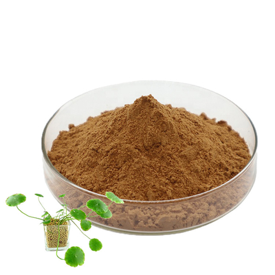 Skin Care Centella Asiatica Gotu Kola Leaf Extract Powder 80 Mesh