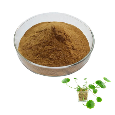 Skin Care Centella Asiatica Gotu Kola Leaf Extract Powder 80 Mesh
