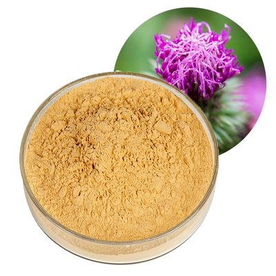 Water Soluble Silybum Marianum Extract Milk Thistle Powder P.E. For Liver Health