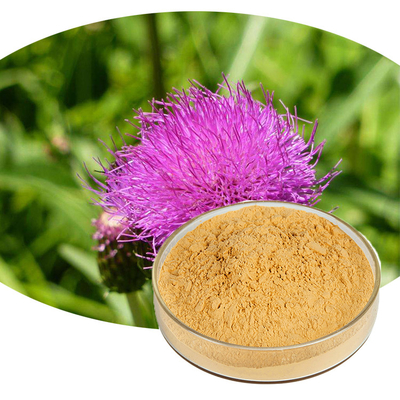 Natural P.E. Milk Thistle Seed Extract Silymarin Powder 80%