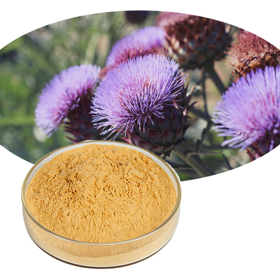 Natural Herbal Plant Food Grade Additives Milk Thistle Seed Extract Powder