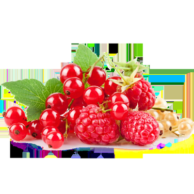 Aroma Vape Saft E Saft Konzentrat Frucht Aroma 500 ml Lebensmittelqualität