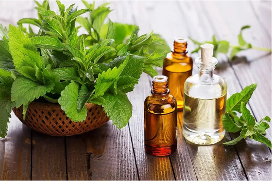 100% natürliches Bio-Pfefferminz-Extrakt Minz-Ätheröl 30 ml