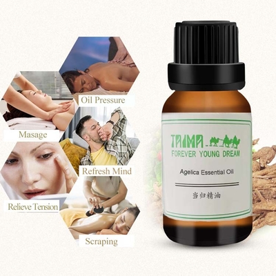 Ätherisches Öl der Engelwurz für Anti-Aging und Regulierung der Hautsekretion
