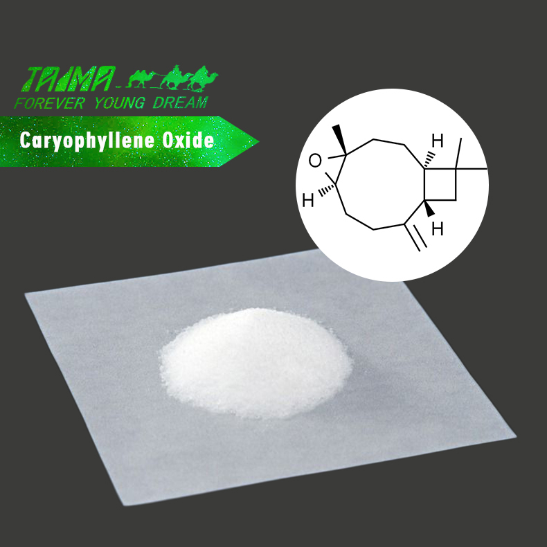 Lebensmittelqualität Caryophyllenoxid für Parfüms und Kosmetika