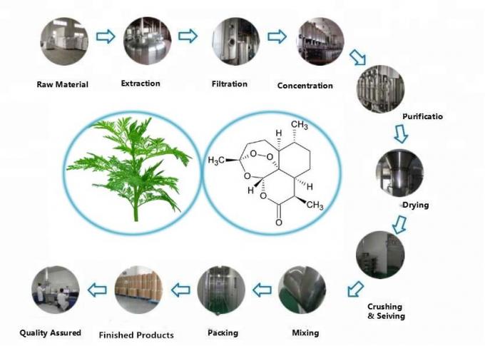 Reiner organischer Artemisia Annua Extrakt 99% Reinheit CAS 63968-64-9 0