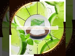 E-Liquid CAS 51115-70-9 WS-27 Kühlmittel-Pulver